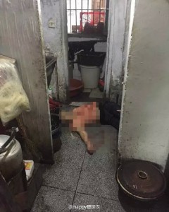 男子餐馆行凶致1死2伤 因菜内有苍蝇(图)