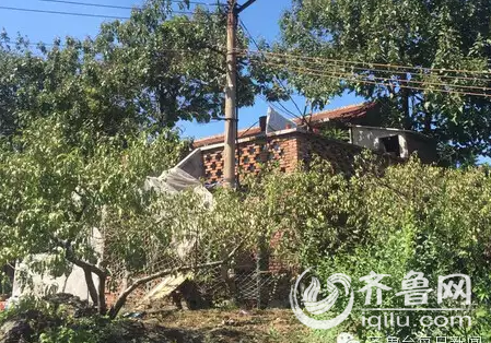 济南草丛现年轻女尸  目击者：衣衫不整不像自杀