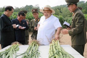 金正恩体重暴涨30公斤 专家：暴饮暴食(图)