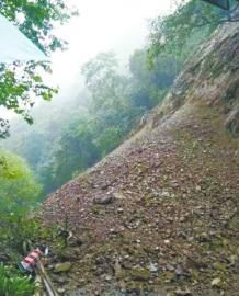 峨眉山景区两棵树倾倒 砸死1名台湾游客(组图)