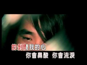 【純音樂 KTV】洋蔥 楊宗緯