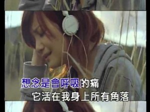 梁靜茹 – 想念是會呼吸的痛ktv(純音樂)