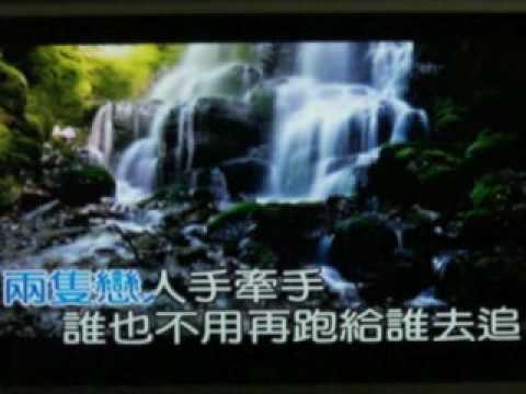 兩隻戀人KTV伴奏