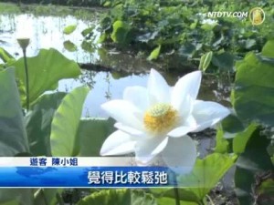 【奇岩地景_加拿大新闻_国际热点新闻】奇岩地景 用海与岩作画的小野柳