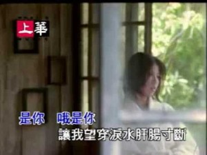 許茹芸-淚海KTV