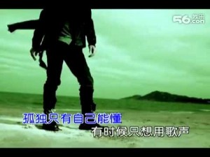 欢子的全部热门歌曲