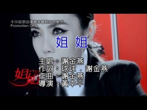 [N-KTV]謝金燕-姐姐 KTV (首發HD左伴右唱)