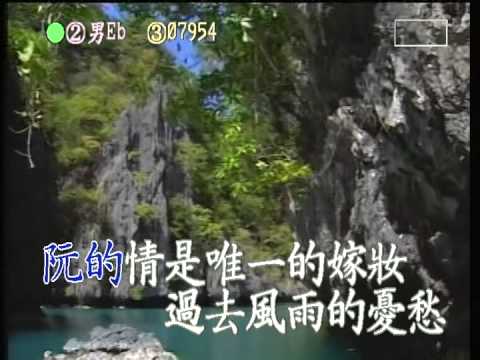 2446 嫁妝 卡拉ok伴唱 0937038818 華鏘