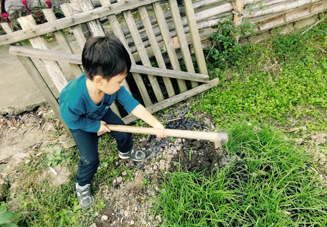 孙俪带儿子下地干活 等等锄草摘菜超认真(组图)