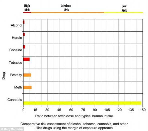 大麻有多毒? 科学家:比大麻致命百倍的东西你常碰