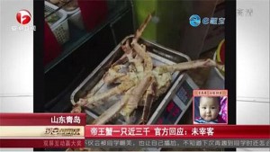 官方称青岛“天价蟹”售价合理 系阿拉斯加帝王蟹