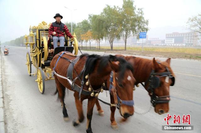 甘肃男子自制“英式皇家马车”上公路(组图)