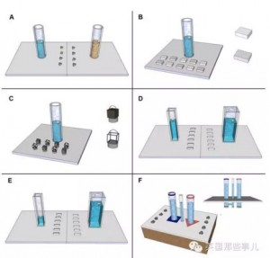 科学版乌鸦喝水的故事 看看剑桥大学的实验(组图)