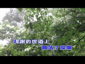 周杰倫-菊花台-KTV