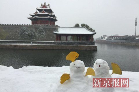 北京市民赏雪热情高 故宫门外排长队(组图)