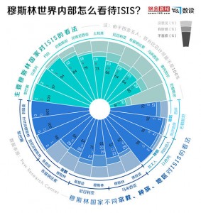 揭秘：穆斯林世界内部怎么看待ISIS？(图)