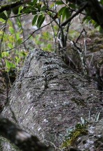 江西崖壁现特殊"文字" 疑似6000年前祭祀符号(图)