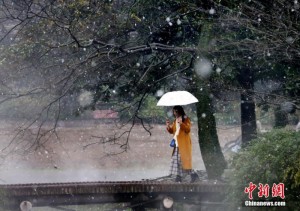 杭州迎入冬首雪 西湖现“独钓寒江雪”美景(组图)