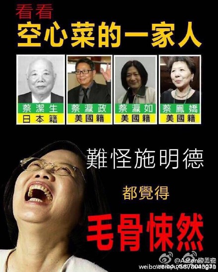 反台独人士被骂卖台 回击：蔡英文家一半是外国人