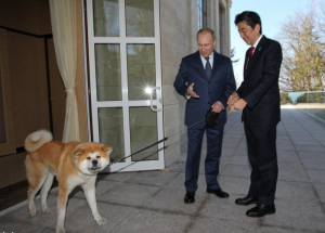 日媒：普京赠安倍圣诞节贺卡 卡上写"赠晋三"(图)