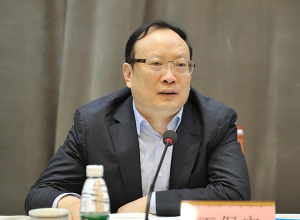 国家统计局党组书记、局长王保安接受调查(图)