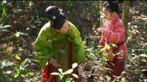 忘了滑胎下毒吧！来跟着《芈月传》学学养生(图)