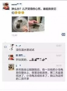 朋友圈都在问，这两只被冻住的乌龟还有救吗?(图)