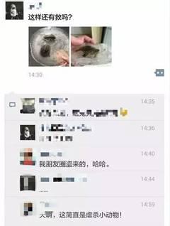 全国人民都在揪心的那两只冰冻乌龟活了(组图)