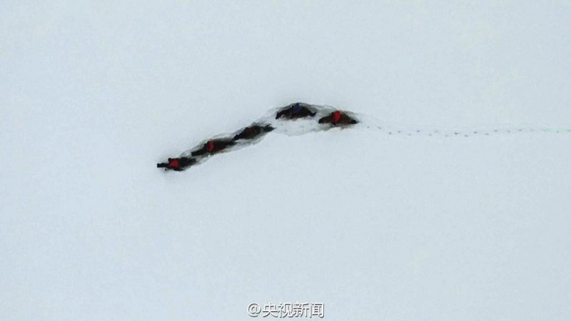 新疆阿勒泰连续降雪14天 马儿成了“潜雪艇”(图)