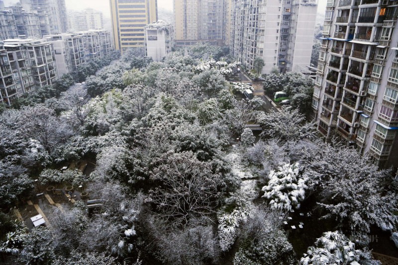 银装素裹！重庆主城区20年来首次飘雪 (高清组图)