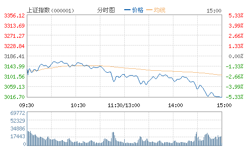 沪指暴跌5%逼近3000点 两市逾千股跌停(图)