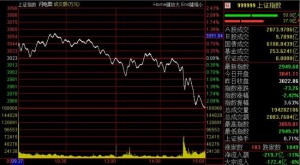 中国股市跌破3000点 逼近股灾最低点(图)