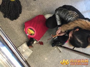 成都一女子带活鸭过安检被拒 现场提刀宰杀(图)