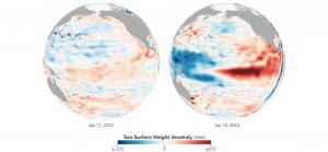 NASA：我们可能正在经历"厄尔尼诺高峰期"(图)