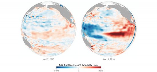 NASA：我们可能正在经历"厄尔尼诺高峰期"(图)