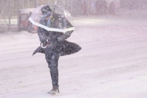 美东暴风雪来袭，纽约宣布关闭国道(图)