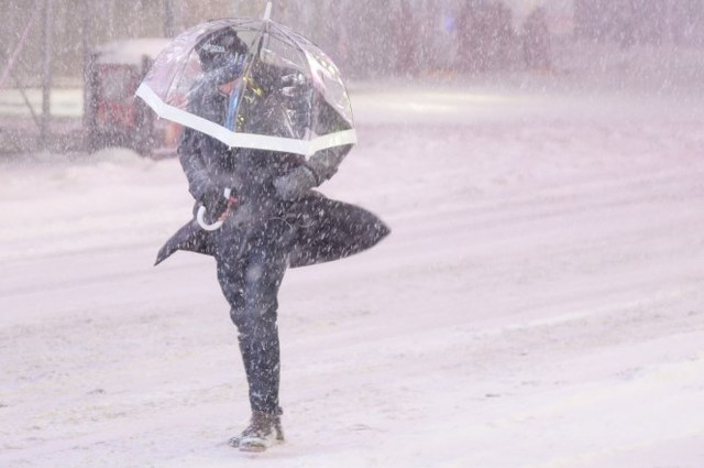 美东暴风雪来袭，纽约宣布关闭国道(图)