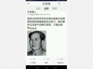 一德国人网红指责王宝强跪拜毛泽东：宣传纳粹