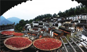 舌尖上的阶级：穷吃穷口味，富吃富口味(图)