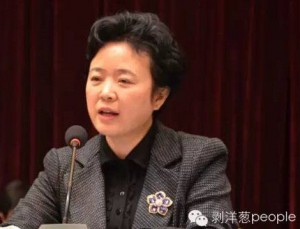 四川省长魏宏严重违纪 或由资阳美女书记牵出(图)