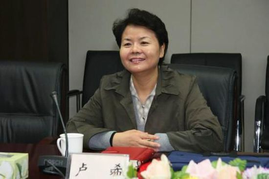 新反贪总局组建完成 57岁女局长卢希亮相(图)