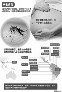 “寨卡”病毒扩大版图 多国发布旅行警告(图)