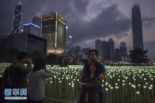 香港25000朵玫瑰灯点亮维港 营造情人节氛围(图)