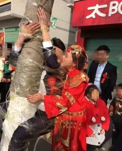 婚礼习俗新高度 新郎官同公公婆婆被挂树上(组图)