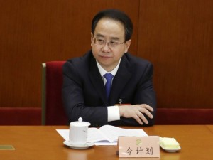 曝令计划三大招应对审查 扯出近三百高官