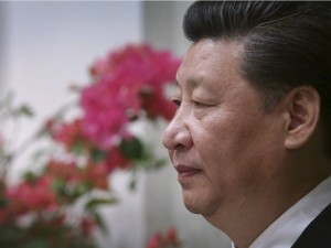 习核心确立，中国新强人的领袖之路(图)