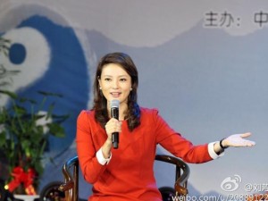 揭央视春晚女主持下岗的惊人内幕(组图)