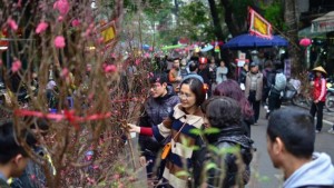 越南也过农历新年 桃花祈愿猴年喜运(图)