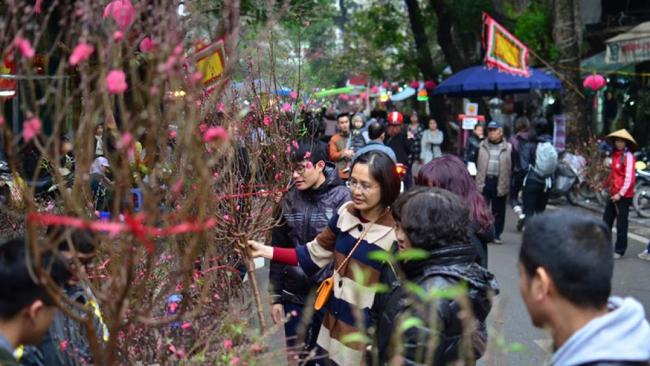 越南也过农历新年 桃花祈愿猴年喜运(图)