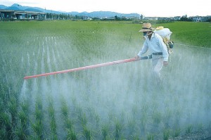 遗传学家发警报  人类变得越来越笨(图)